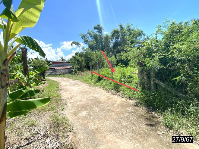 รูป บ้านเดี่ยว สำหรับขาย - หนองตูม ภูเขียว ชัยภูมิ - รูปที่ 9/24