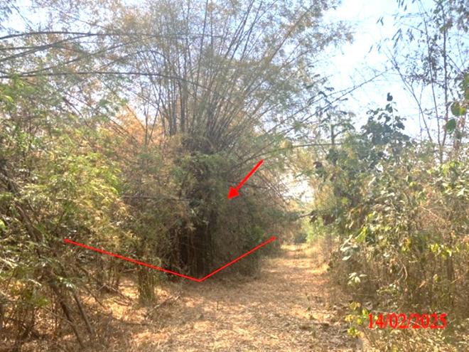 picture LAND for sale  Phichai Muang Lampang Lamphang - 2/24