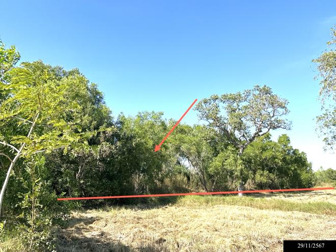 picture LAND for sale  Dong Khan Yai Kham Khuan Kaeo Yasothon - 4/24