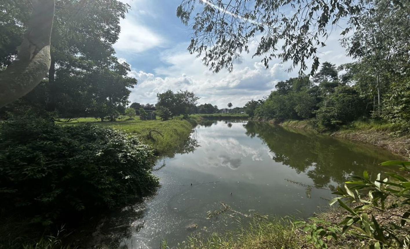 picture LAND for sale  Sa Kaeo Muang Sa Kaeo Srakaeo - 8/14