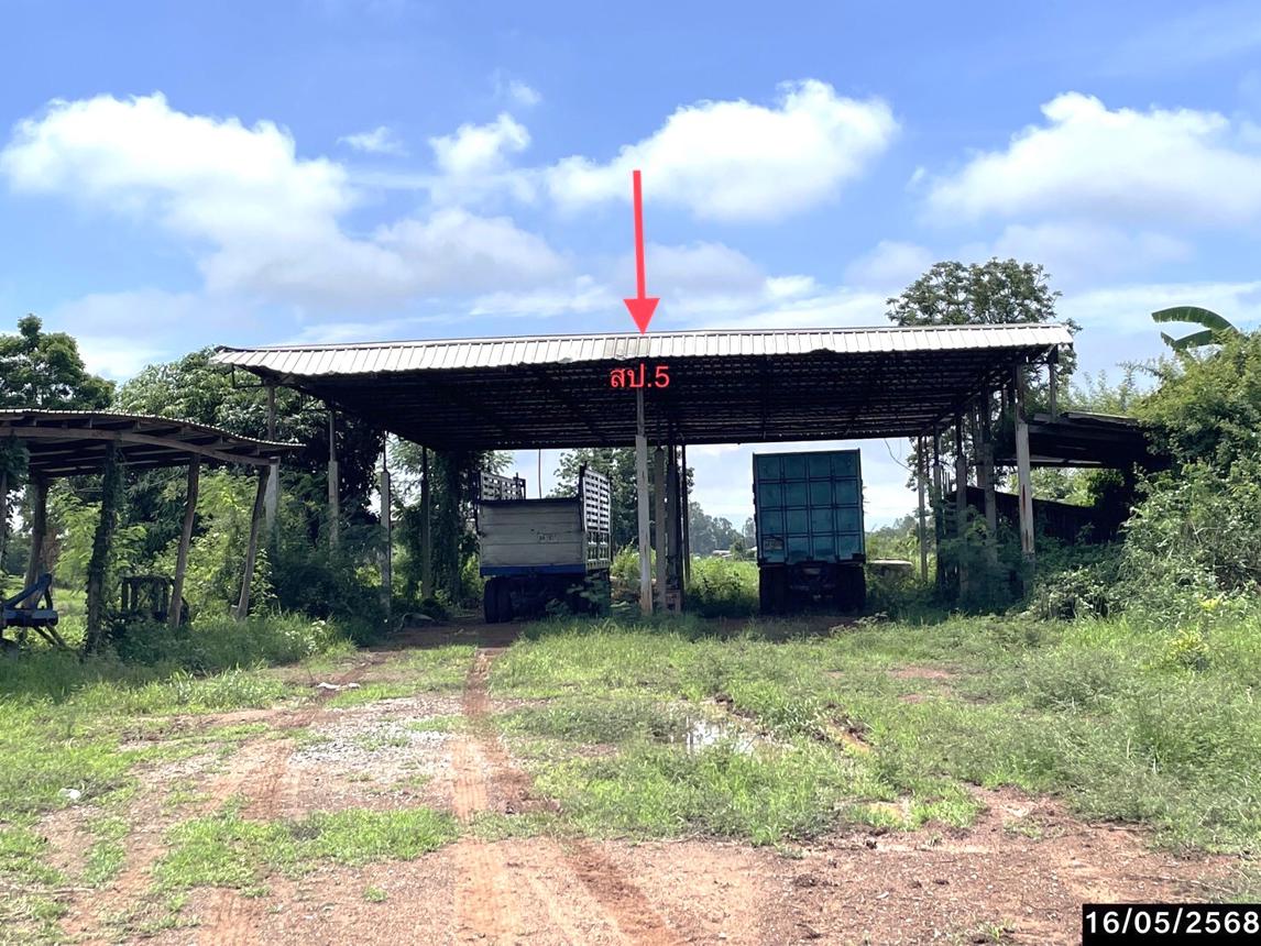 รูป บ้านเดี่ยว สำหรับขาย - ธาตุทอง ภูเขียว ชัยภูมิ - รูปที่ 22/30