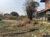 listing thumbnail image 25