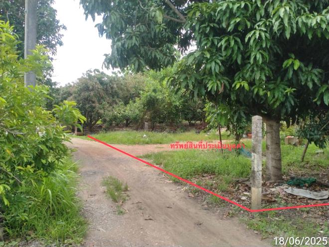 รูป บ้านเดี่ยว สำหรับขาย - แม่ก๊า สันป่าตอง เชียงใหม่ - รูปที่ 11/28