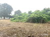 listing thumbnail image 33