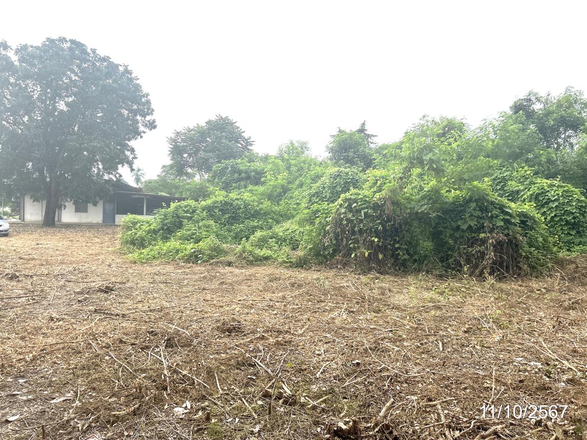 รูป บ้านเดี่ยว สำหรับขาย - ท่าช้าง พรหมพิราม พิษณุโลก - รูปที่ 34/38