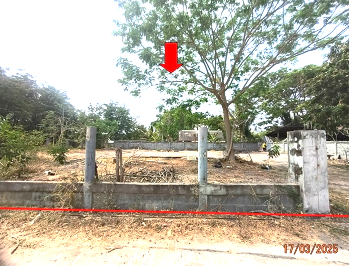 picture LAND for sale  Muang Samsip Muang Samsip Ubon Ratchathani - 13/20
