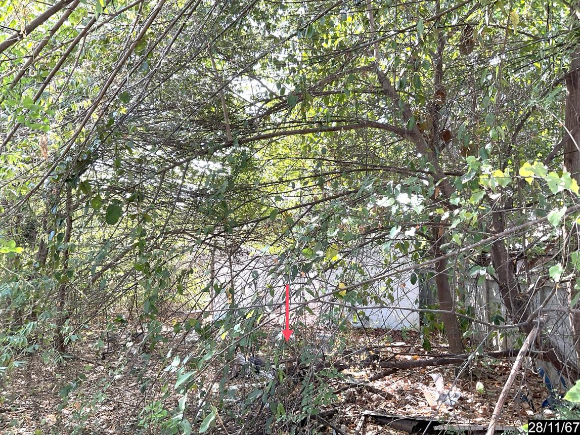 picture LAND for sale  Ban Pet Muang Khon Kaen Khon Kaen - 12/24