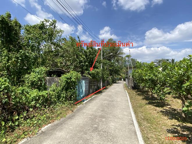 รูป บ้านเดี่ยว สำหรับขาย - นาโยงเหนือ นาโยง ตรัง - รูปที่ 21/46