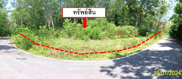 รูป ที่ดินว่างเปล่า สำหรับขาย - เกะรอ รามัน ยะลา - รูปที่ 11/14