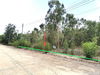 listing thumbnail image 13