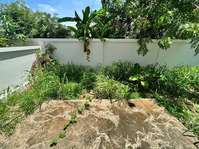 picture TOWN_HOUSE for sale  Sanak Bok Muang Chon Buri Chonburi - 9/20