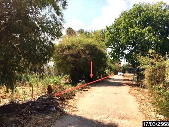 picture LAND for sale  Kung Kao Tha Khan Tho Kalasin - 6/22