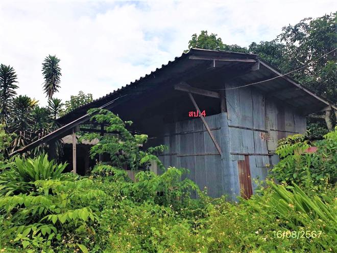 รูป บ้านเดี่ยว สำหรับขาย - เหล่ายาว บ้านโฮ่ง ลำพูน - รูปที่ 11/42