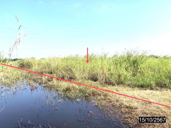 picture LAND for sale  Wang Phikun Wang Thong Phitsanulok - 4/16
