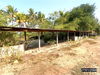 listing thumbnail image 22