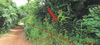 listing thumbnail image 16