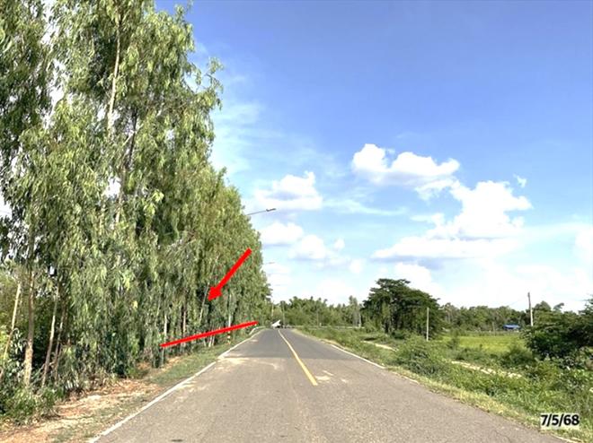 picture LAND for sale  Lup Muang Kalasin Kalasin - 6/22