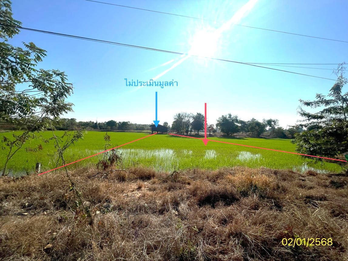 picture LAND for sale  Wang Phikun Wang Thong Phitsanulok - 12/18