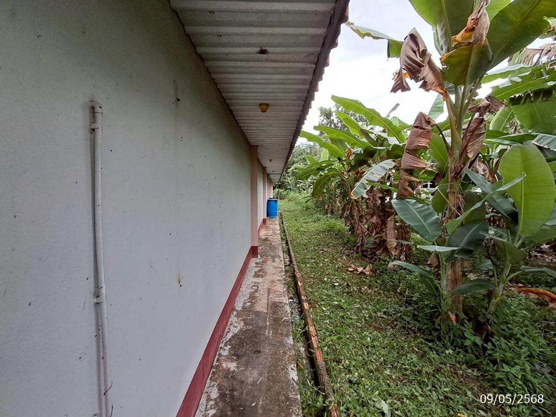 รูป บ้านเดี่ยว สำหรับขาย - วังมะปรางเหนือ วังวิเศษ ตรัง - รูปที่ 26/30
