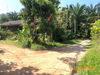 listing thumbnail image 8