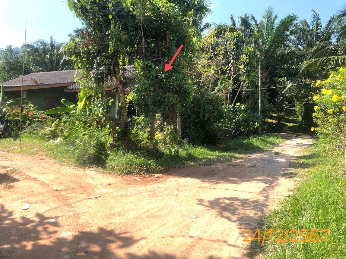 รูป บ้านเดี่ยว สำหรับขาย - ศาลาด่าน เกาะลันตา กระบี่ - รูปที่ 9/16
