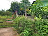 listing thumbnail image 18