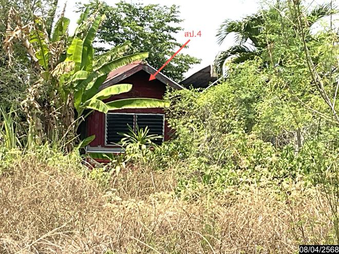 รูป บ้านเดี่ยว สำหรับขาย - หัวทะเล บำเหน็จณรงค์ ชัยภูมิ - รูปที่ 4/26