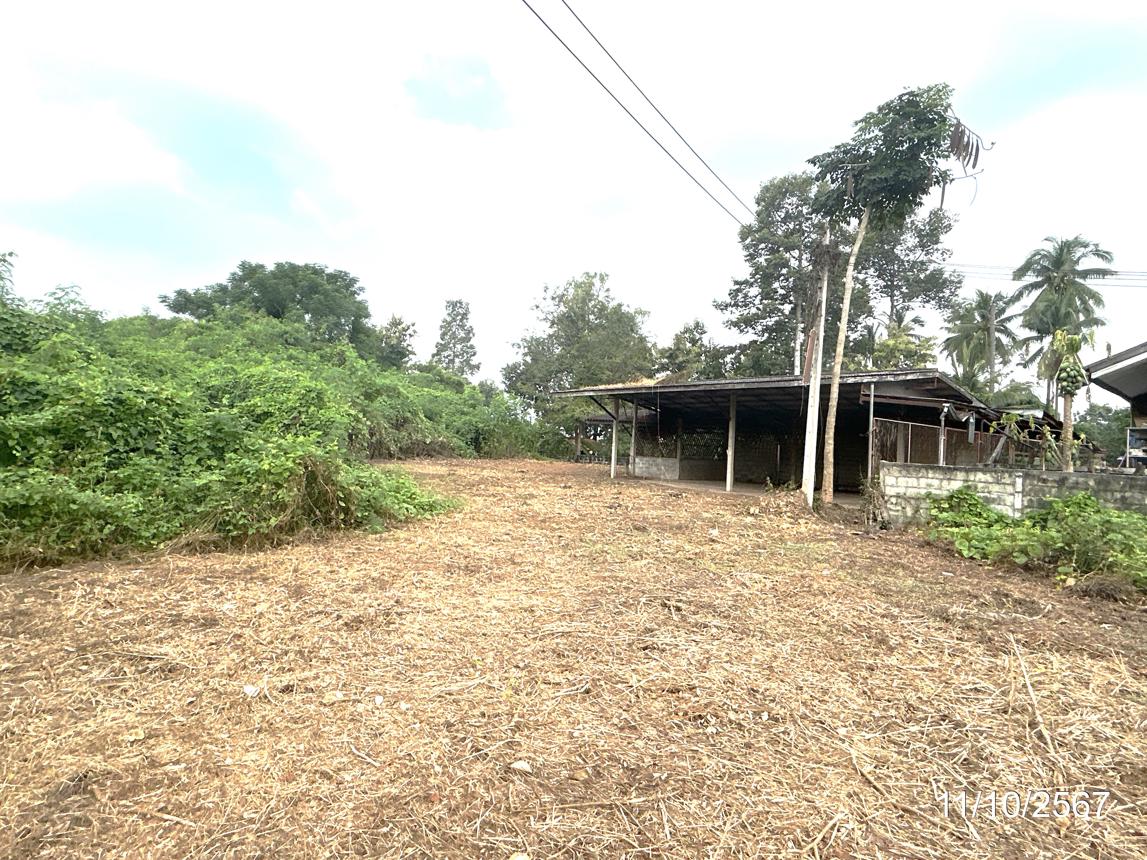 รูป บ้านเดี่ยว สำหรับขาย - ท่าช้าง พรหมพิราม พิษณุโลก - รูปที่ 33/38