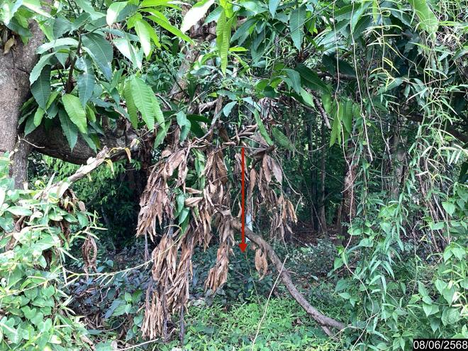 picture LAND for sale  Song Dao Song Dao Sakon Nakhon - 4/18