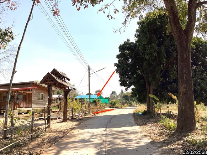 picture LAND for sale  Song Dao Song Dao Sakon Nakhon - 6/18
