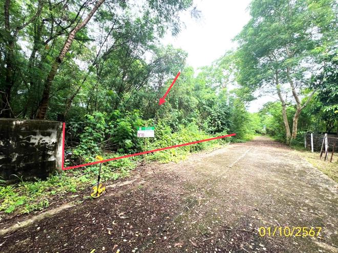 รูป ที่ดินว่างเปล่า สำหรับขาย - รังสิต ธัญบุรี ปทุมธานี - รูปที่ 2/18