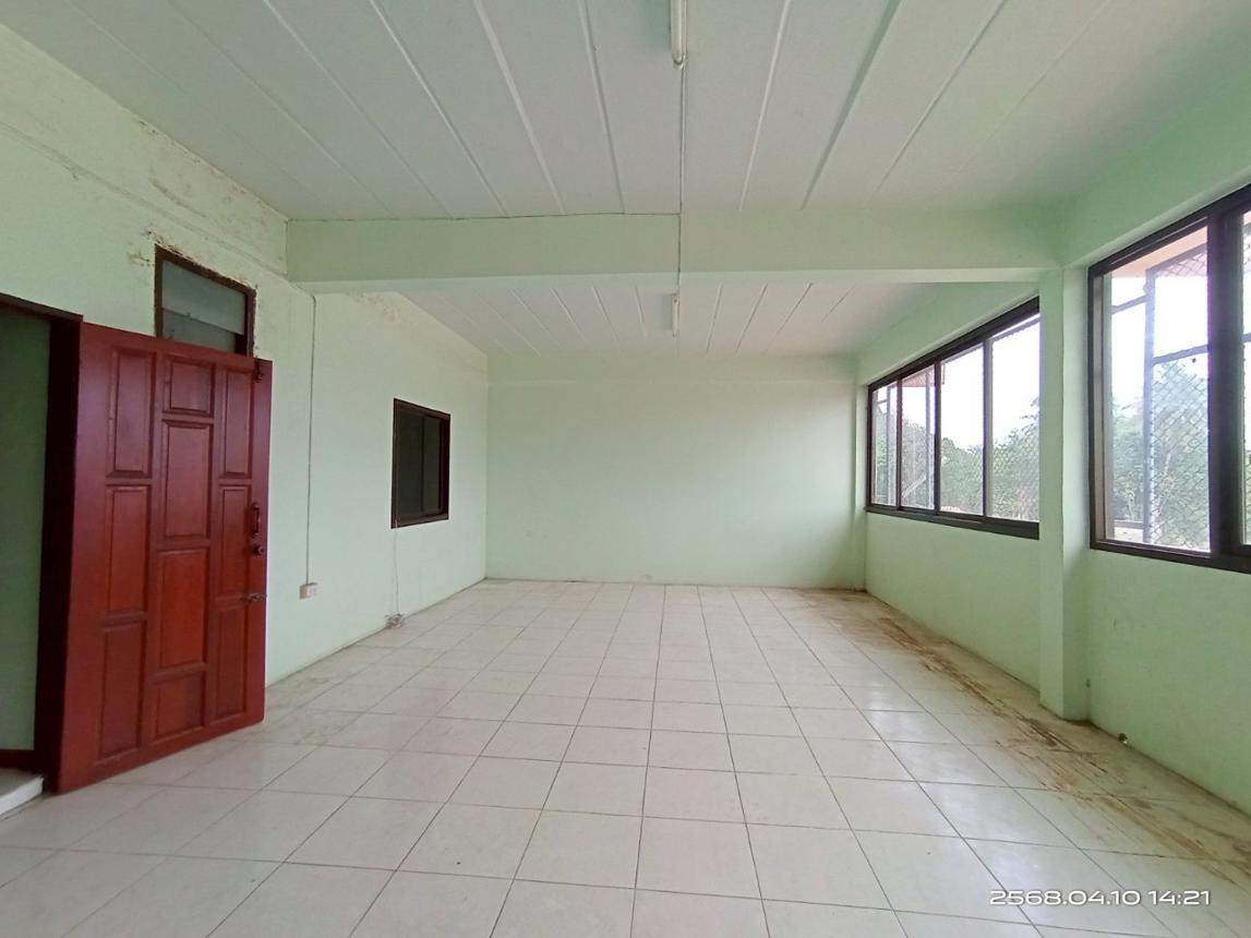 picture SHOP_HOUSE for sale  Kalasin Muang Kalasin Kalasin - 29/42