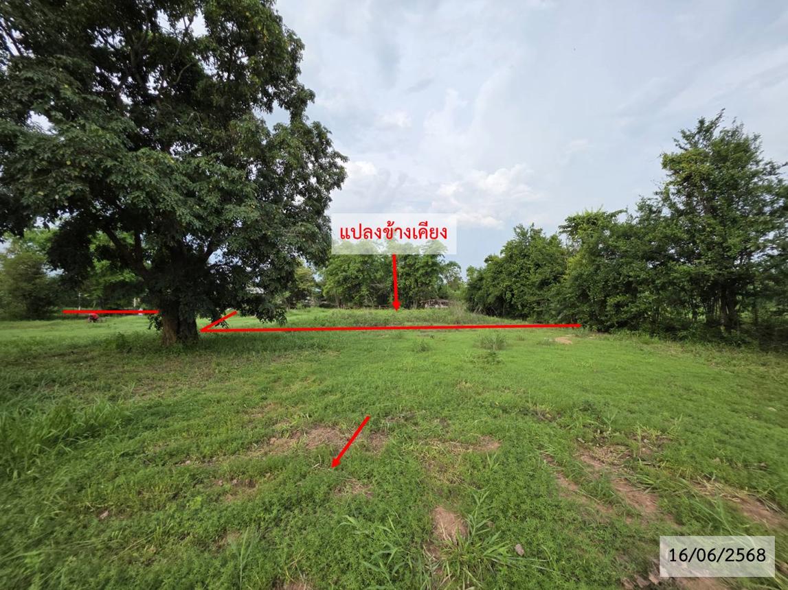 รูป ที่ดินว่างเปล่า สำหรับขาย - ปลาโหล วาริชภูมิ สกลนคร - รูปที่ 14/24