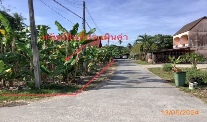 picture LAND for sale  Pho Sadet Muang Nakhon Sri Thammarat Nakhon Sri Thammarat - 2/10
