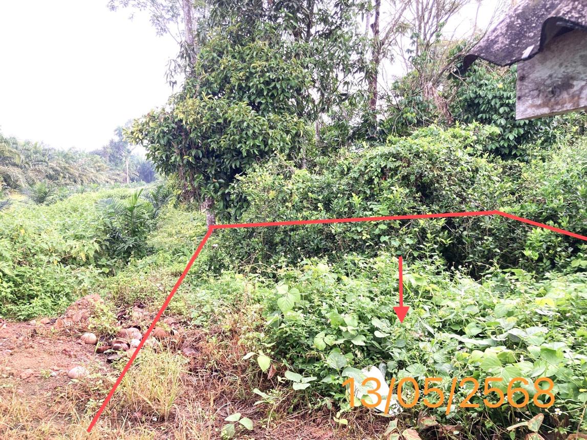 รูป บ้านเดี่ยว สำหรับขาย - พรุเตียว เขาพนม กระบี่ - รูปที่ 18/22