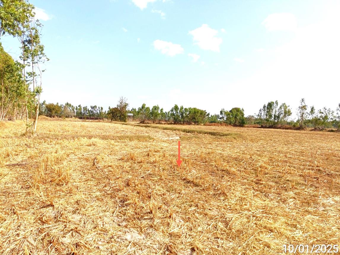 picture LAND for sale  Nam Sai Chaturaphak Phiman Roi Et - 9/14