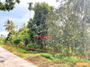 listing thumbnail image 11