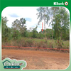 listing thumbnail image 21