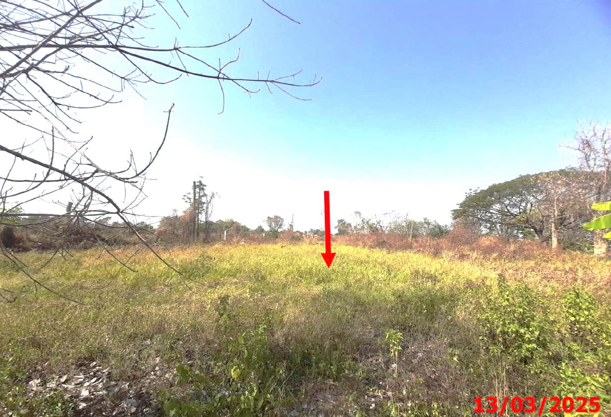 รูป บ้านเดี่ยว สำหรับขาย - ป่าสัก เมืองลำพูน ลำพูน - รูปที่ 29/34