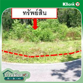 รูป ที่ดินว่างเปล่า สำหรับขาย - เกะรอ รามัน ยะลา - รูปที่ 12/14