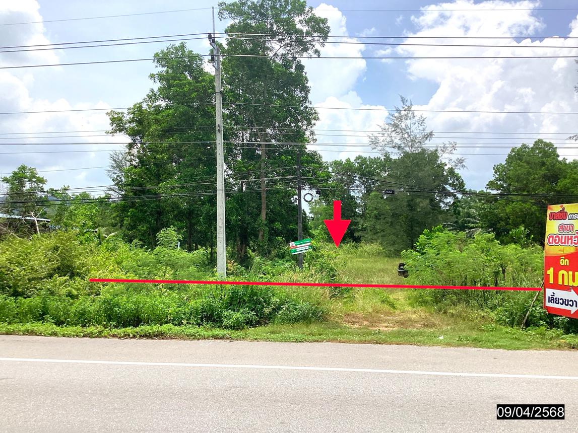 picture LAND for sale  Khron Sawi Chumphon - 8/18