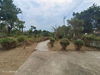 listing thumbnail image 24