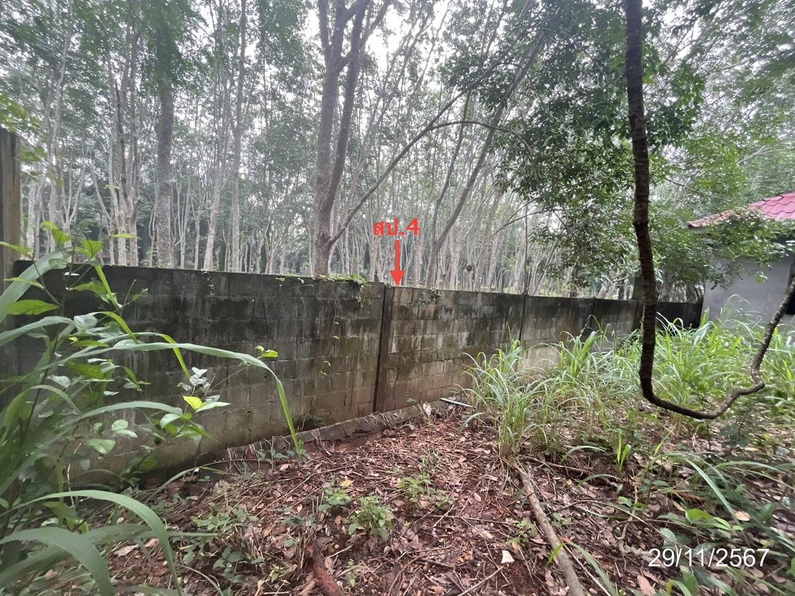 picture HOME for sale  Khunthale Muang Surat Thani Surat Thani - 35/44