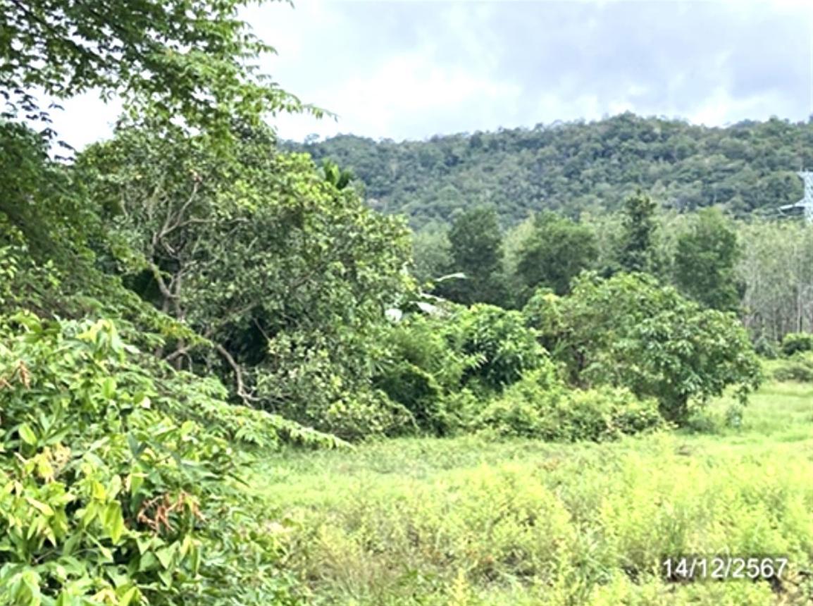 picture LAND for sale  Khuan Sato Khuan Don Satun - 18/24