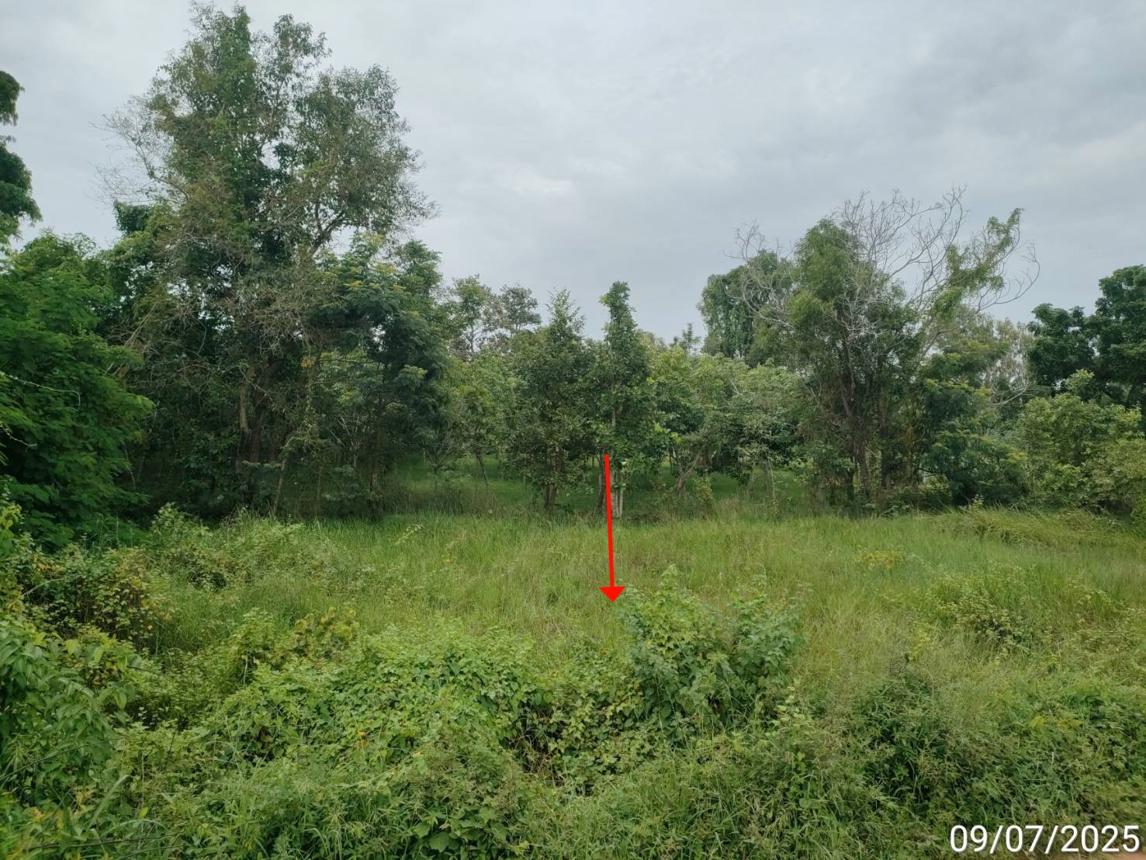 รูป บ้านเดี่ยว สำหรับขาย - หนองไผ่ นาดูน มหาสารคาม - รูปที่ 22/28