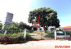 listing thumbnail image 12