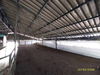 listing thumbnail image 33