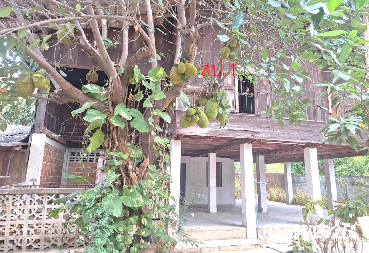 picture HOME for sale  Lao Yao Ban Hong Lamphun - 21/44