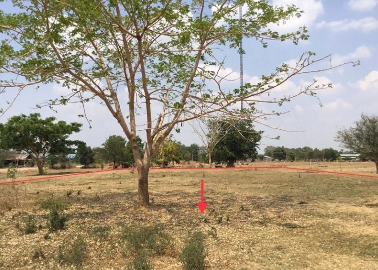 picture LAND for sale  Nong Tat Muang Buri Ram Buri Ram - 7/14