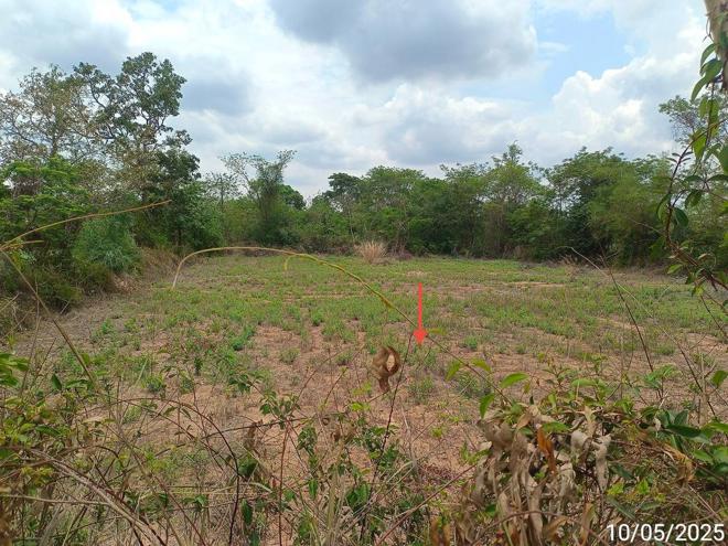 picture LAND for sale  Nong Muang Muang Samsip Ubon Ratchathani - 7/24
